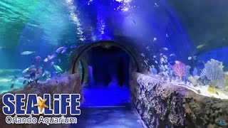 SEA LIFE Orlando Aquarium Full Walkthrough  Reopening Day [upl. by Assenat]