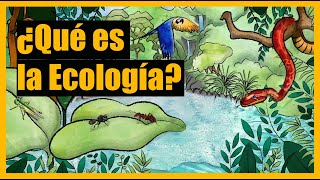 ¿Qué es la Ecología [upl. by Narcis]