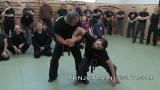 Budo Taijutsu of Master Nagato at Hombu Dojo [upl. by Noiraa]