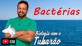 Bactérias  Microbiologia  Biologia com o Tubarão [upl. by Jorin497]