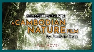 A Cambodian Nature Film The Kingdom of Nature FULL MOVIE [upl. by Analaj]