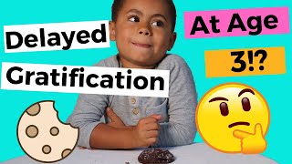 Delayed Gratification  Experiment Can A Toddler Delay Gratification [upl. by Eldon59]