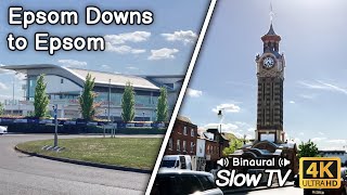 A Summer Afternoon Walk from Epsom Downs to Epsom Town Centre with Binaural Audio  Slow TV [upl. by Hsemar777]