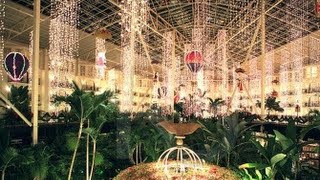 Gaylord Opryland Resort Christmas [upl. by Nirot]