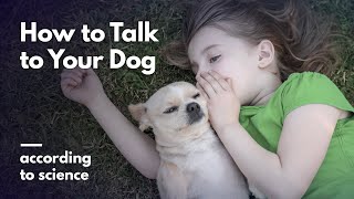 How to Talk to Your Dog According to Science [upl. by Ephrayim41]