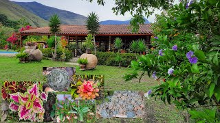 TOUR POR LA HERMOSA FINCA DE DOÑA AURORA SUCULENTAS ORQUÍDEAS Y MUCHO MÁS FINCA LA AURORA [upl. by Marys]