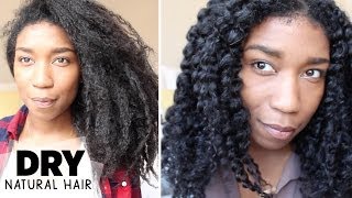 Moisturizing Dry Natural Hair  Retaining Moisture  Naptural85 [upl. by Nehtanoj103]