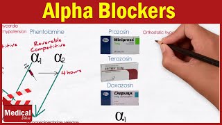 Pharmacology ANS 17 Alpha Blockers  Prazosin Terazosin Doxazosin Tamsulosin and Alfuzosin [upl. by Loydie]