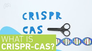 CRISPR Cas9  A Brief Introduction [upl. by Haddad]