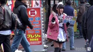 Maid Cafés amp Otakus in Akihabara [upl. by Ainoz]