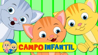 Tres Gatitos Y Mucho Más Canciones Para Niños by Campo Infantil [upl. by Borszcz]