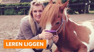 Leren liggen vrijheidsdressuur  PaardenpraatTV [upl. by Kos]