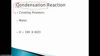 condensation and hydrolysis reactions [upl. by Con]