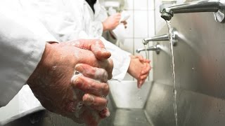 Hand Washing Technique  Campden BRI [upl. by Aneelad]