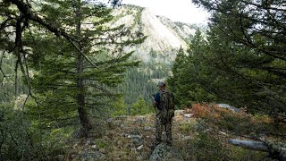 How to Find the Best Elk Hunting Areas [upl. by Gerdeen838]