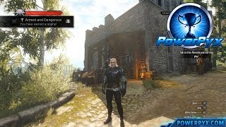 The Witcher 3 Wild Hunt  Griffin Witcher Gear Set Locations Armed and Dangerous Trophy [upl. by Nuahsel849]