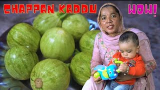 Chappan Kaddu Recipe  Chappan Kaddu Ki Sabji  Chappan Tinda Sabji  Punjabi Recipe [upl. by Edualcnaej]