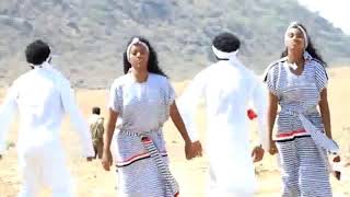 New Oromo Walagga Music 2019 [upl. by Mandler]