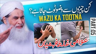 Wazu Karne Ka Tarika  Wazu Ka Sahi Tariqa  Wazu Kin Cheezo Se Toot Jata Hai  Maulana Ilyas Qadri [upl. by Shep599]