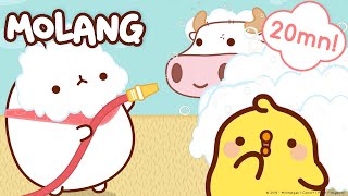 Molang  The Countryside [upl. by Adirehs888]