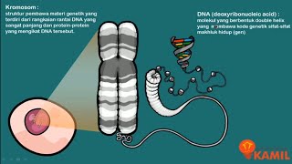 IPA Kelas 9  Pewarisan Sifat I Materi Genetik  Kromosom DNA dan RNA [upl. by Lory]