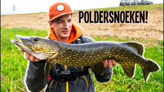 Poldersnoeken  VisTD Vlog 12 [upl. by Griffin]