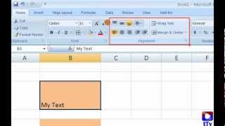 Excel  Alignment Merge Unmerge amp Wrap Text [upl. by Agarhs]