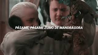 Zumo de mandrágora —PiterG LETRA Drarry [upl. by Oicangi]