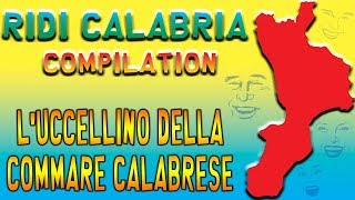 Il Calabrese  Luccellino della commare calabrese [upl. by Baily]