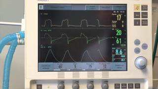 Pulmonary Ventilation System Respiratory [upl. by Helmut]