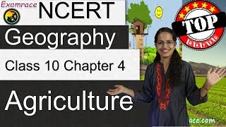 NCERT Class 10 Geography Chapter 4 Agriculture Examrace  Dr Manishika  English  CBSE [upl. by Annenn]