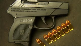 Hellcat 380 Acp Pistol Review [upl. by Ainival429]