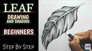 HOW TO DRAW AND SHADE A LEAF  Step By Step [upl. by Wey625]