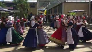 Danish Folk Dance Jyllinge Denmark [upl. by Corine655]