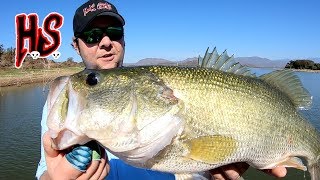 Hook Shots A New Bass Fly Fishery In Old Mexico [upl. by Ardnasirk]