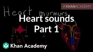 Systolic murmurs diastolic murmurs and extra heart sounds  Part 1  NCLEXRN  Khan Academy [upl. by Elocaj386]