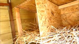 Como hacer un Gallinero Casero con madera reciclada [upl. by Dumah168]