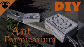 How to make a DIY Ytong formicarium Ant nest Tutorial [upl. by Merideth]