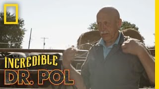 Official Trailer   The Incredible Dr Pol [upl. by Zahavi918]