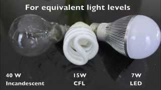 LED vs CFL vs Incandescent A19 Light Bulbs [upl. by Orest553]