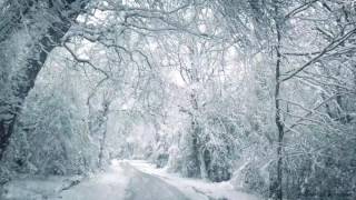 Blizzard Sounds for Sleep Relaxation amp Staying Cool  Snowstorm Sounds amp Howling Wind in the Forest [upl. by Novoj]