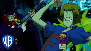 All Scooby Doo Intros 1969  2017 [upl. by Nyrrat211]