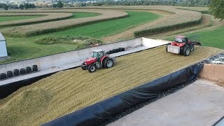 Corn Silage Harvest Begins  Filling the Big Bunk [upl. by Airdnazxela921]