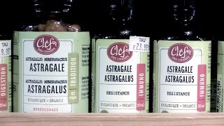 Naturopath Catherine Turnbull on Astragalus [upl. by Cathrin196]