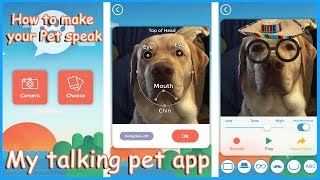 My talking Pet APP Tutorial amp Review [upl. by Yvor]