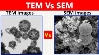 SEM Vs TEM [upl. by Aicenev]