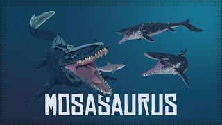 How Scientifically Accurate is the Jurassic World MOSASAURUS [upl. by Eintroc]