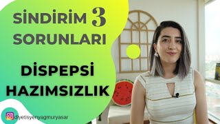 SİNDİRİM SORUNLARI  DİSPEPSİ  HAZIMSIZLIK [upl. by Mord207]