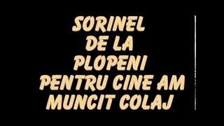 SORINEL DE LA PLOPENI PENTRU CINE AM MUNCIT [upl. by Ainolopa]