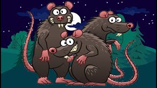 All You Need to Know About RATS [upl. by Atsyrt]